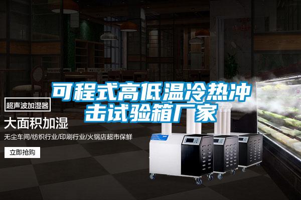可程式高低溫冷熱沖擊試驗箱廠(chǎng)家