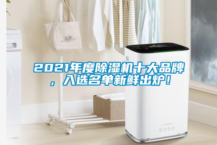 2021年度除濕機十大品牌，入選名單新鮮出爐！