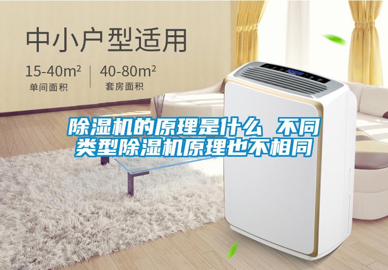 除濕機的原理是什么 不同類(lèi)型除濕機原理也不相同