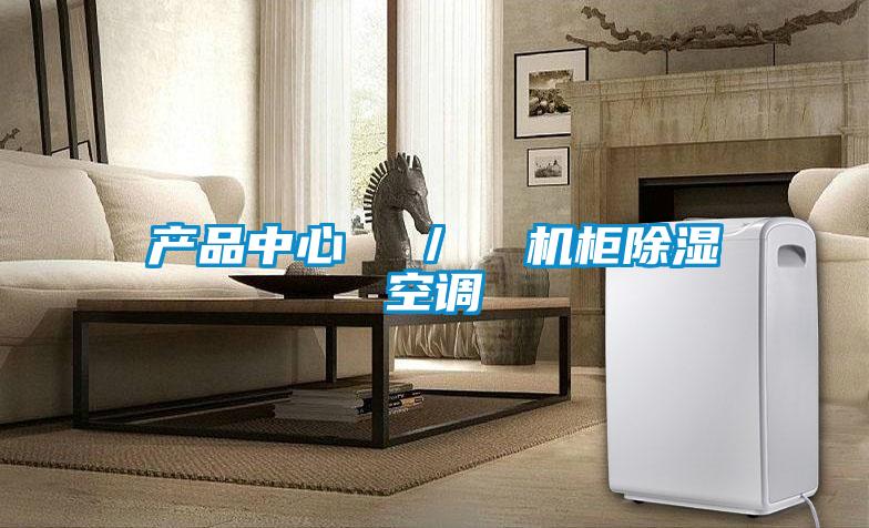產(chǎn)品中心  ／  機柜除濕空調