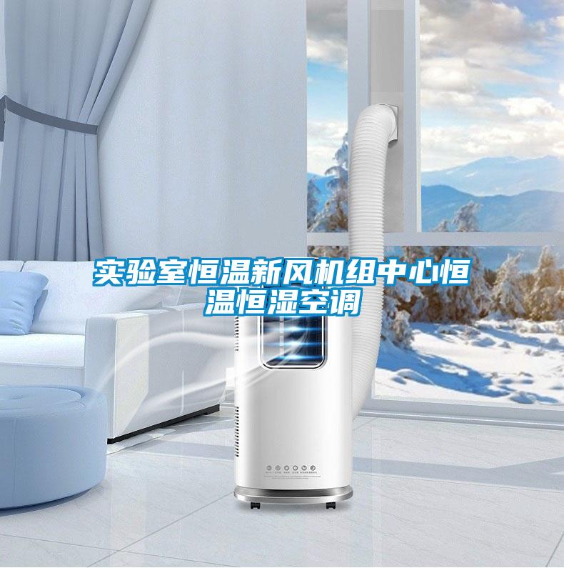 實(shí)驗室恒溫新風(fēng)機組中心恒溫恒濕空調