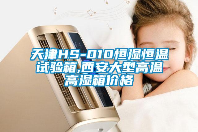 天津HS-010恒濕恒溫試驗箱,西安大型高溫高濕箱價(jià)格