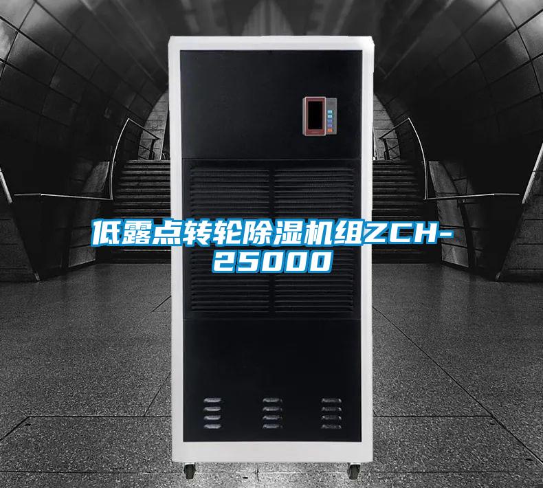 低露點(diǎn)轉輪除濕機組ZCH-25000