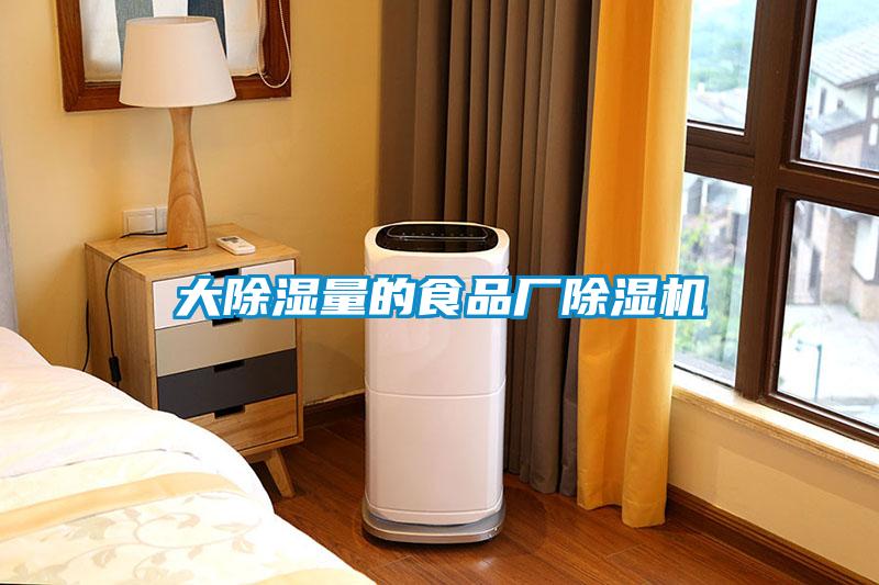 大除濕量的食品廠(chǎng)除濕機