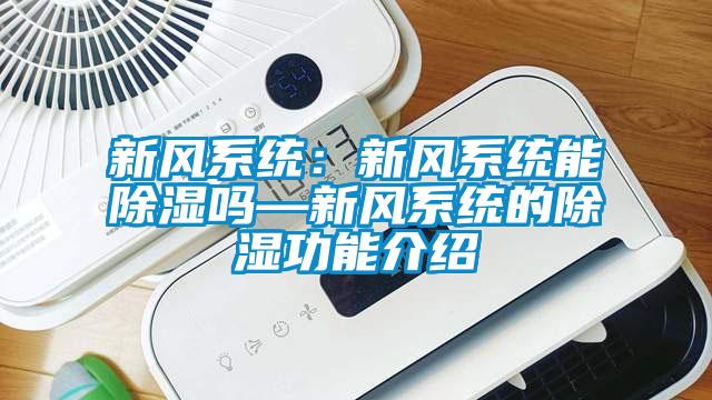 新風(fēng)系統：新風(fēng)系統能除濕嗎—新風(fēng)系統的除濕功能介紹