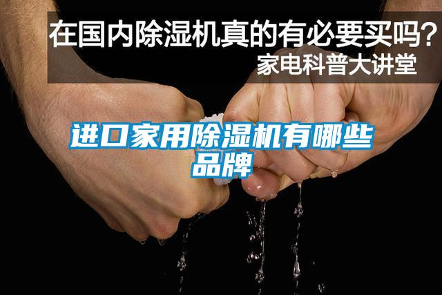 進(jìn)口家用除濕機有哪些品牌