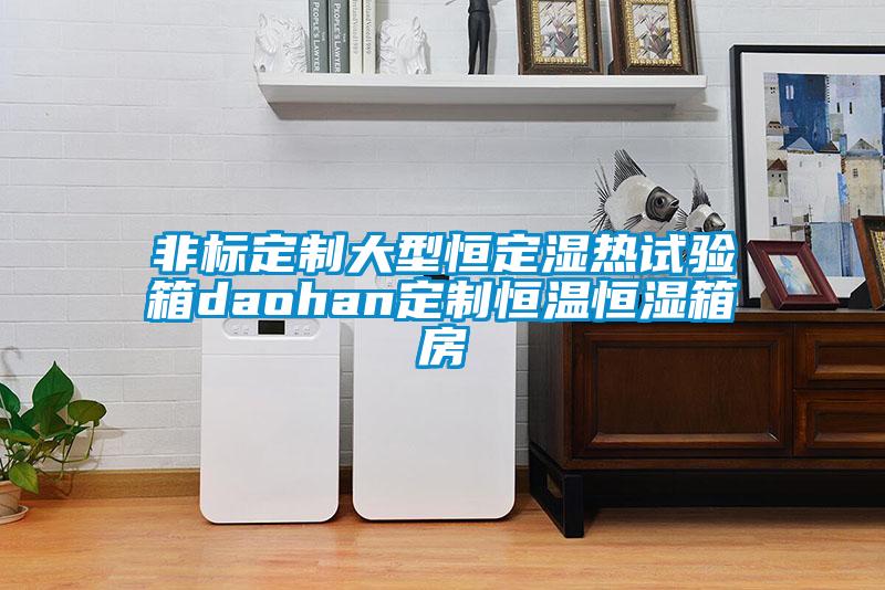 非標定制大型恒定濕熱試驗箱daohan定制恒溫恒濕箱房