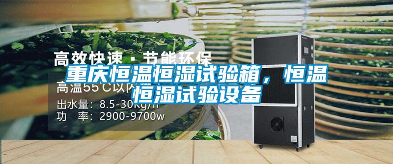 重慶恒溫恒濕試驗箱，恒溫恒濕試驗設備
