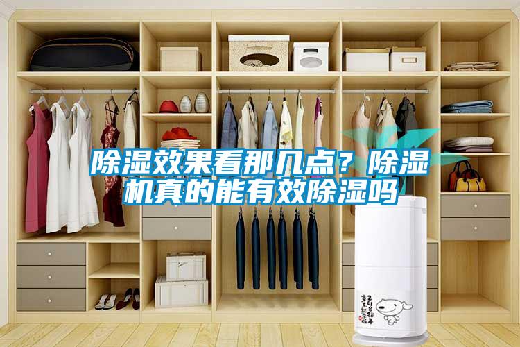 除濕效果看那幾點(diǎn)？除濕機真的能有效除濕嗎