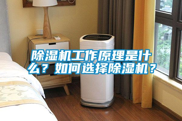 除濕機工作原理是什么？如何選擇除濕機？