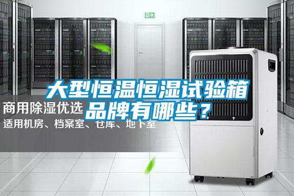 大型恒溫恒濕試驗箱品牌有哪些？