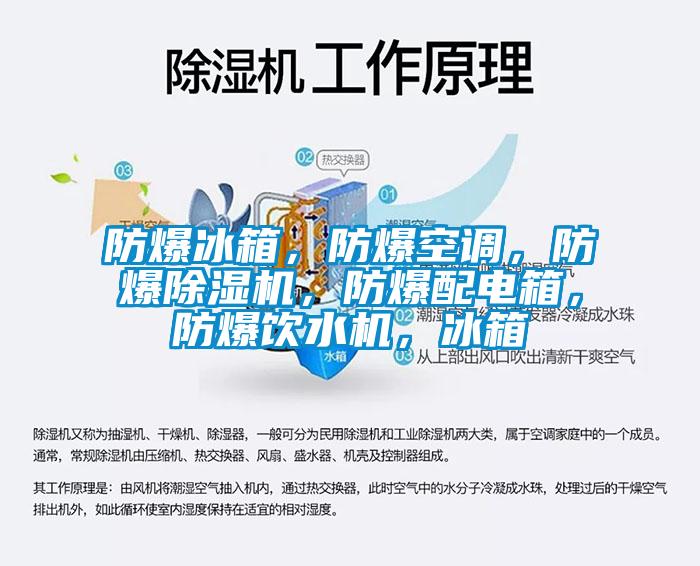 防爆冰箱，防爆空調，防爆除濕機，防爆配電箱，防爆飲水機，冰箱