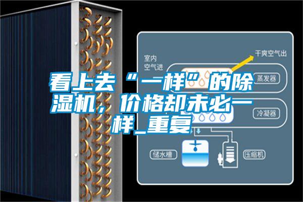 看上去“一樣”的除濕機，價(jià)格卻未必一樣_重復