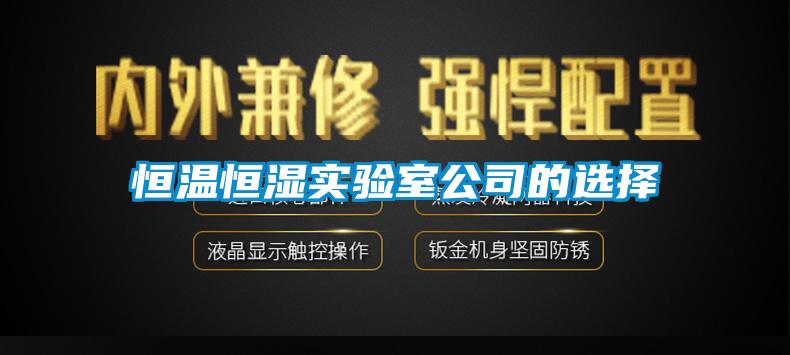 恒溫恒濕實(shí)驗室公司的選擇