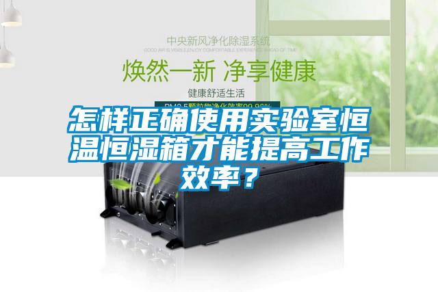 怎樣正確使用實(shí)驗室恒溫恒濕箱才能提高工作效率？