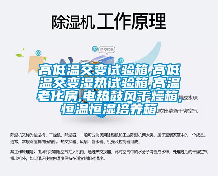 高低溫交變試驗箱,高低溫交變濕熱試驗箱,高溫老化房,電熱鼓風(fēng)干燥箱,恒溫恒濕培養箱