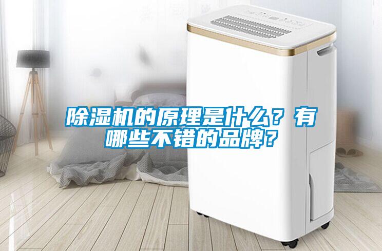 除濕機的原理是什么？有哪些不錯的品牌？