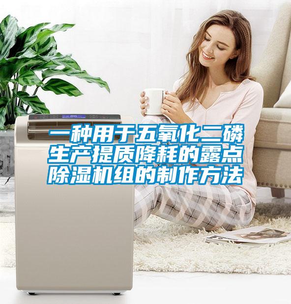 一種用于五氧化二磷生產(chǎn)提質(zhì)降耗的露點(diǎn)除濕機組的制作方法