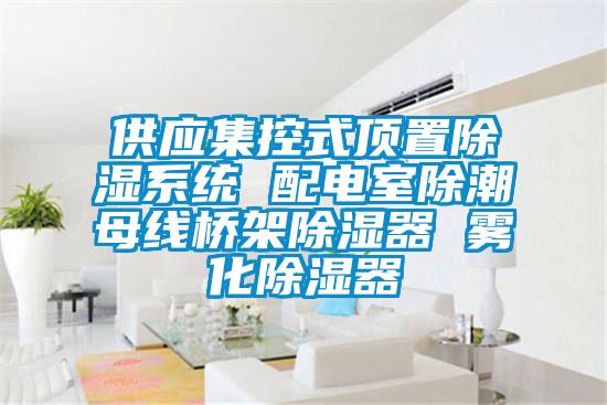 供應集控式頂置除濕系統 配電室除潮母線(xiàn)橋架除濕器 霧化除濕器