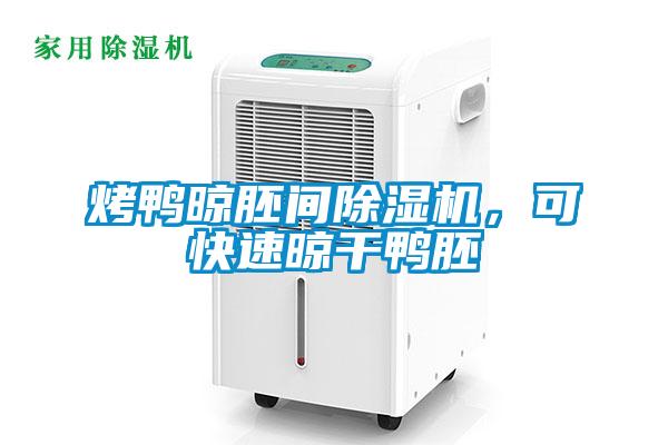 烤鴨晾胚間除濕機，可快速晾干鴨胚