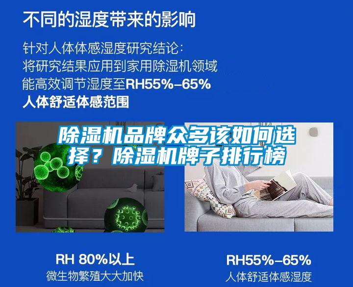 除濕機品牌眾多該如何選擇？除濕機牌子排行榜