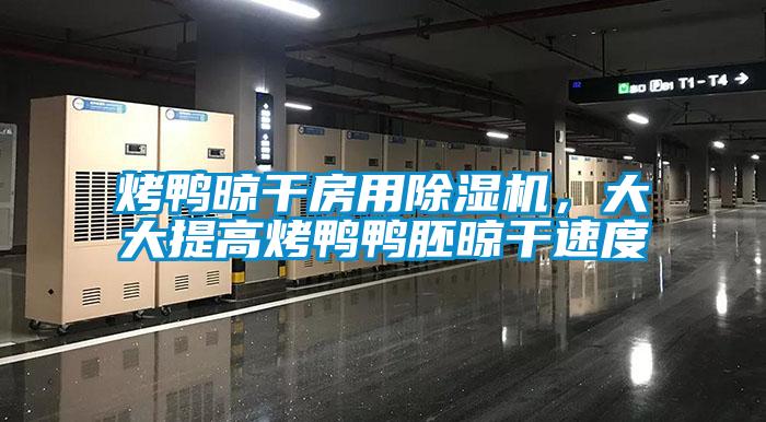 烤鴨晾干房用除濕機，大大提高烤鴨鴨胚晾干速度