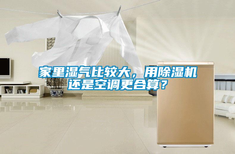 家里濕氣比較大，用除濕機還是空調更合算？