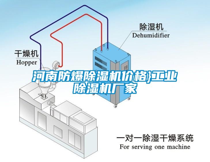 河南防爆除濕機價(jià)格}工業(yè)除濕機廠(chǎng)家