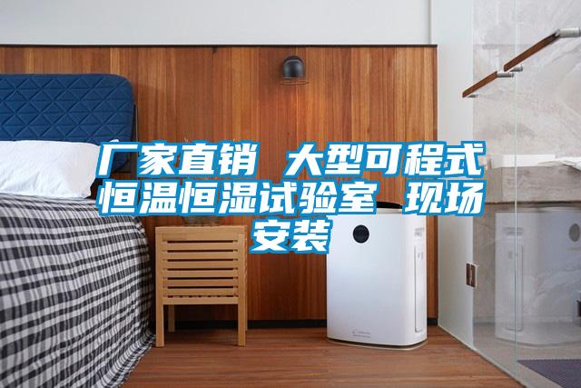 廠(chǎng)家直銷(xiāo) 大型可程式恒溫恒濕試驗室 現場(chǎng)安裝