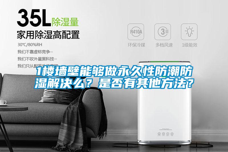 1樓墻壁能夠做永久性防潮防濕解決么？是否有其他方法？