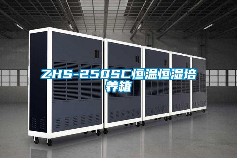 ZHS-250SC恒溫恒濕培養箱