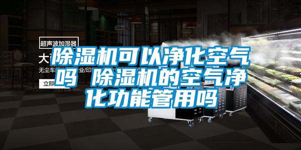 除濕機可以?xún)艋諝鈫?除濕機的空氣凈化功能管用嗎