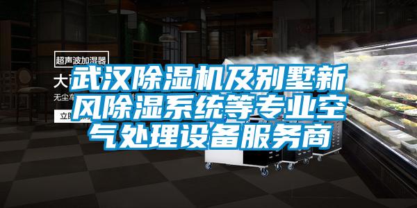 武漢除濕機及別墅新風(fēng)除濕系統等專(zhuān)業(yè)空氣處理設備服務(wù)商