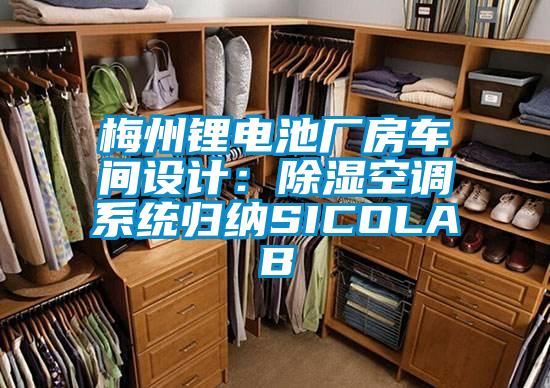 梅州鋰電池廠(chǎng)房車(chē)間設計：除濕空調系統歸納SICOLAB