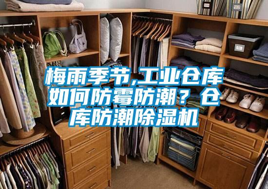 梅雨季節,工業(yè)倉庫如何防霉防潮？倉庫防潮除濕機
