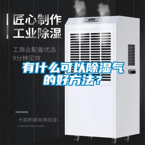 有什么可以除濕氣的好方法？