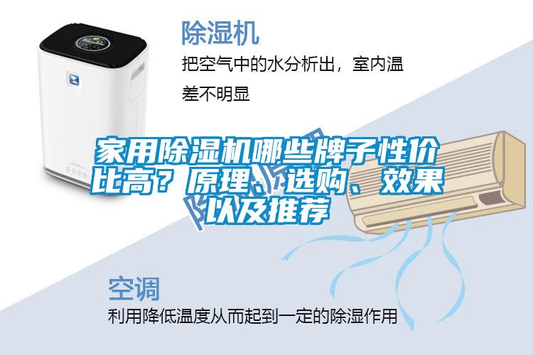 家用除濕機哪些牌子性?xún)r(jià)比高？原理、選購、效果以及推薦