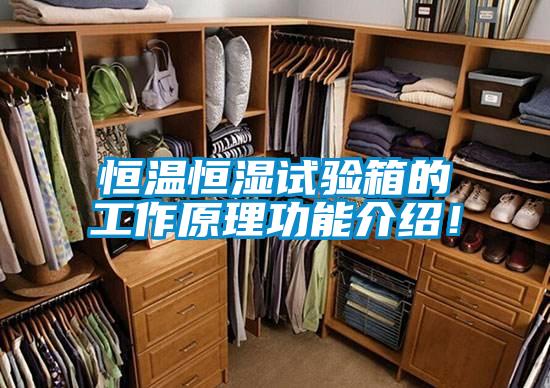 恒溫恒濕試驗箱的工作原理功能介紹！
