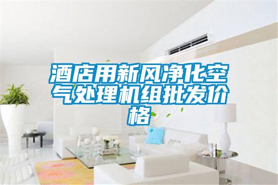 酒店用新風(fēng)凈化空氣處理機組批發(fā)價(jià)格