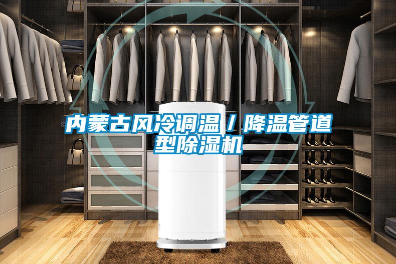 內蒙古風(fēng)冷調溫／降溫管道型除濕機