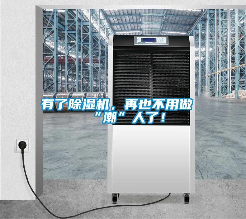 有了除濕機，再也不用做“潮”人了！