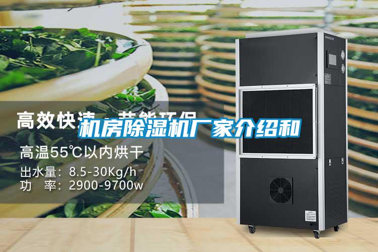 機房除濕機廠(chǎng)家介紹和