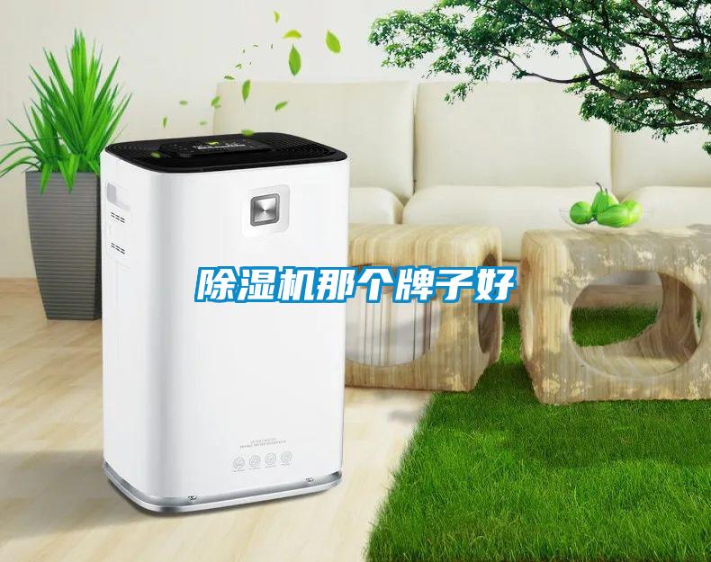 除濕機那個(gè)牌子好
