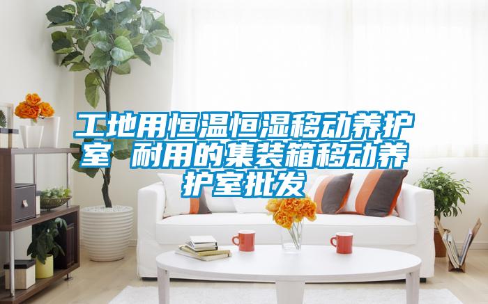 工地用恒溫恒濕移動(dòng)養護室 耐用的集裝箱移動(dòng)養護室批發(fā)