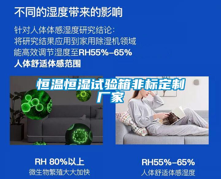 恒溫恒濕試驗箱非標定制廠(chǎng)家