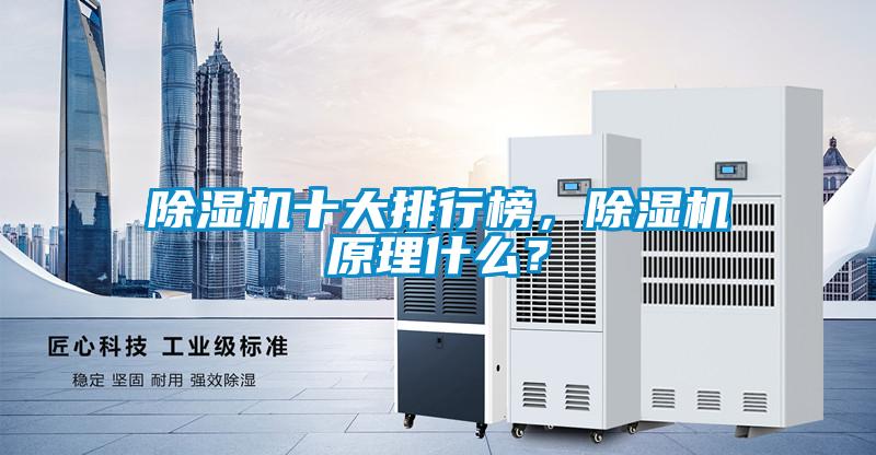除濕機十大排行榜，除濕機原理什么？