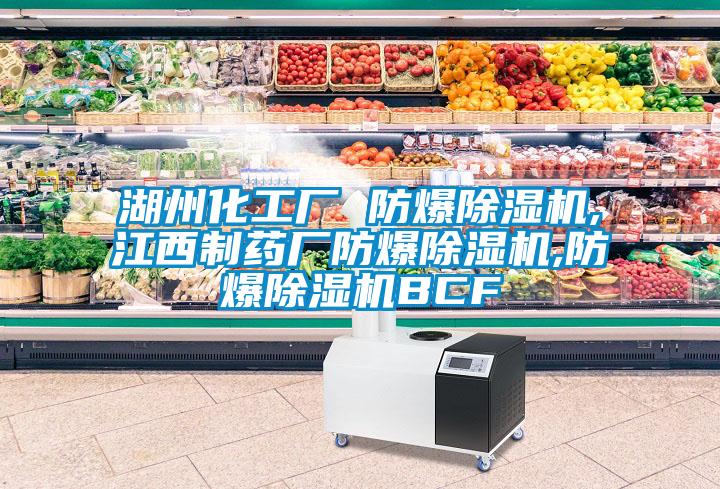 湖州化工廠(chǎng) 防爆除濕機,江西制藥廠(chǎng)防爆除濕機,防爆除濕機BCF