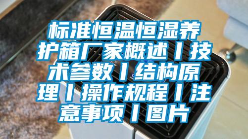 標準恒溫恒濕養護箱廠(chǎng)家概述丨技術(shù)參數丨結構原理丨操作規程丨注意事項丨圖片