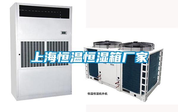 上海恒溫恒濕箱廠(chǎng)家