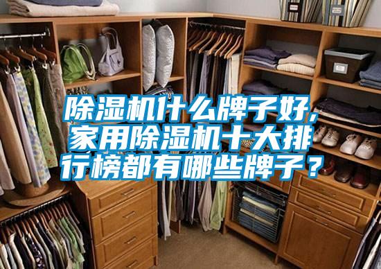 除濕機什么牌子好,家用除濕機十大排行榜都有哪些牌子？